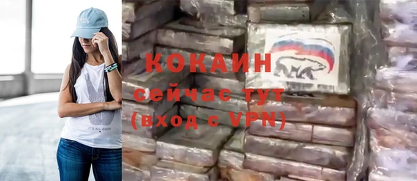 индика Армянск