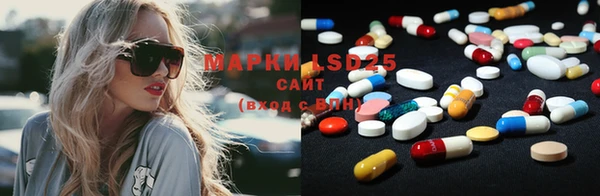 индика Армянск