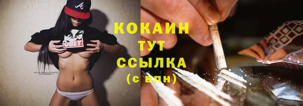 индика Армянск
