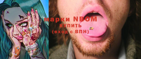 индика Армянск