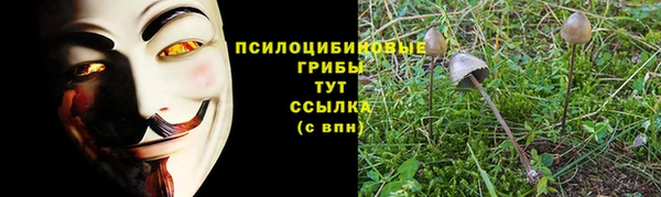 мескалин Аркадак